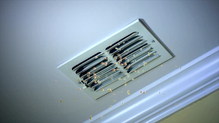 Best Ductwork Cleaning Services  in Clarcona, FL